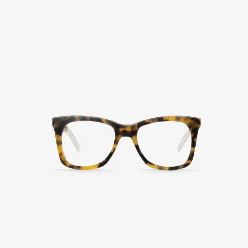 [B03909] ROUCHET Tortoiseshell